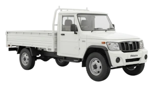 Pickup Open Body 11–12 ft