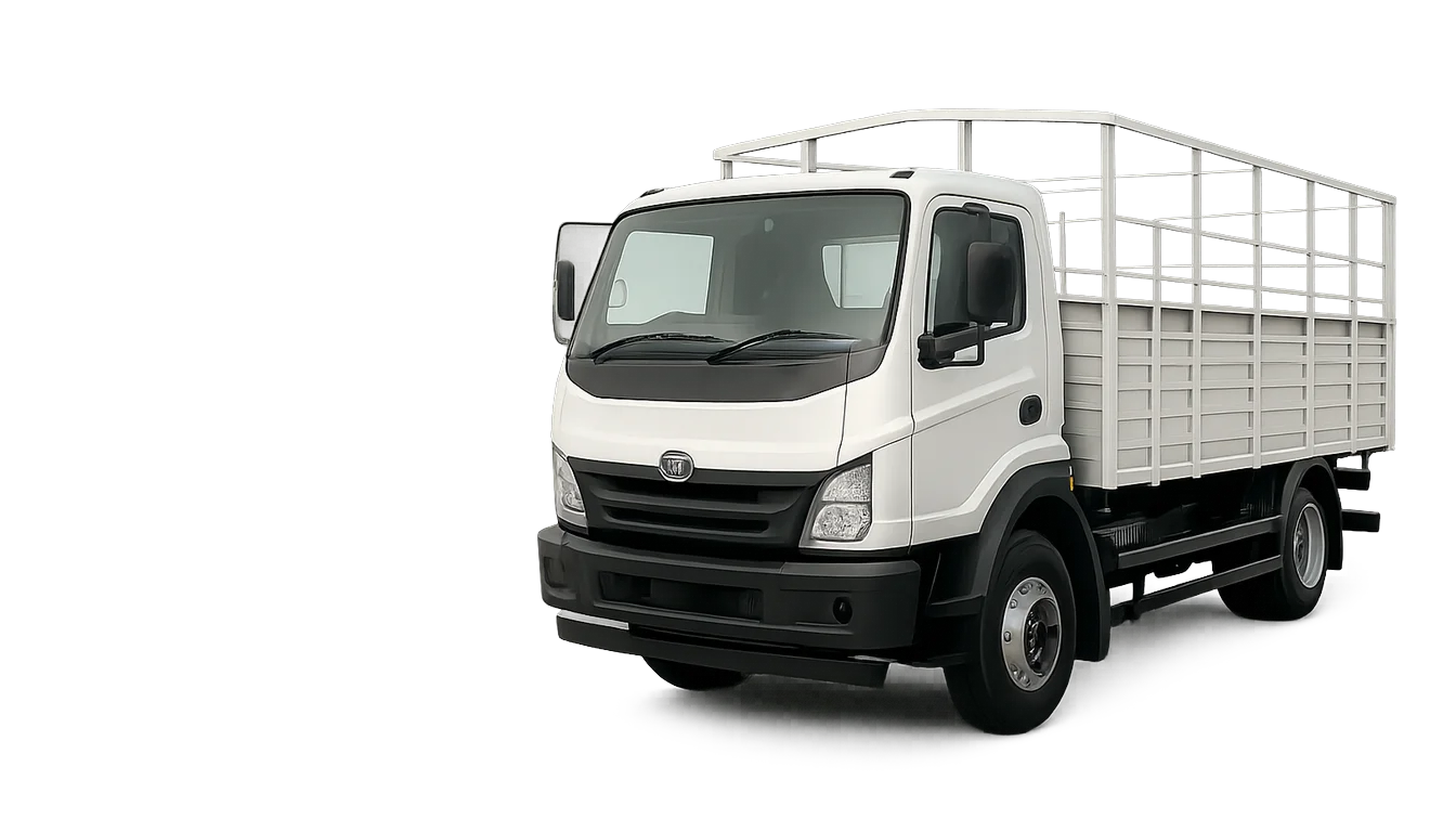 Tata 909